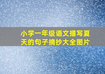 小学一年级语文描写夏天的句子摘抄大全图片