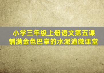 小学三年级上册语文第五课铺满金色巴掌的水泥道微课堂