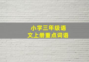 小学三年级语文上册重点词语