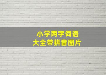 小学两字词语大全带拼音图片