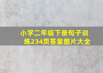 小学二年级下册句子训练234页答案图片大全