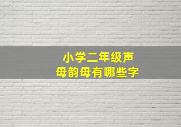 小学二年级声母韵母有哪些字