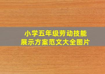 小学五年级劳动技能展示方案范文大全图片