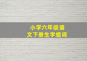 小学六年级语文下册生字组词