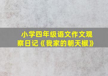 小学四年级语文作文观察日记《我家的朝天椒》