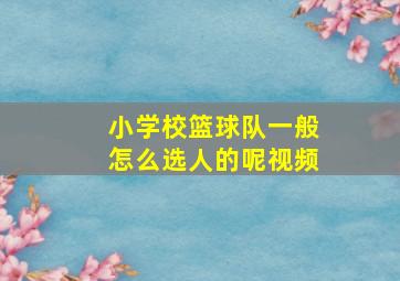 小学校篮球队一般怎么选人的呢视频