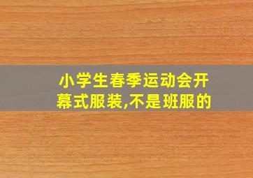 小学生春季运动会开幕式服装,不是班服的