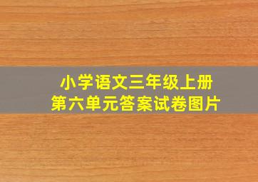 小学语文三年级上册第六单元答案试卷图片