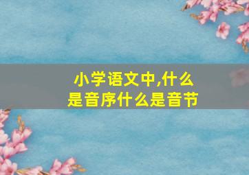 小学语文中,什么是音序什么是音节