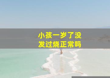 小孩一岁了没发过烧正常吗