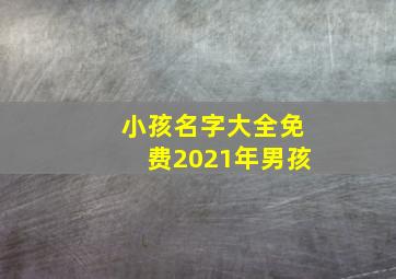 小孩名字大全免费2021年男孩