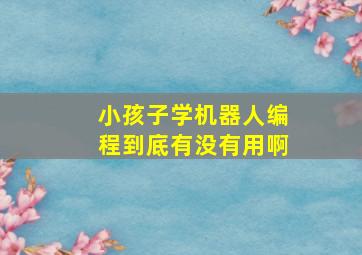 小孩子学机器人编程到底有没有用啊