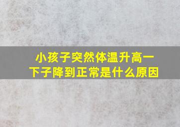 小孩子突然体温升高一下子降到正常是什么原因