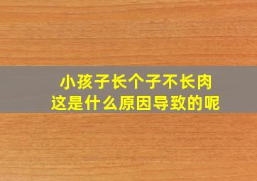 小孩子长个子不长肉这是什么原因导致的呢