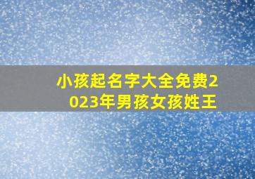 小孩起名字大全免费2023年男孩女孩姓王