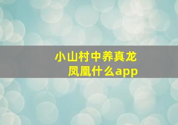 小山村中养真龙凤凰什么app