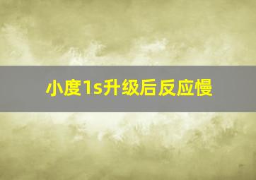 小度1s升级后反应慢