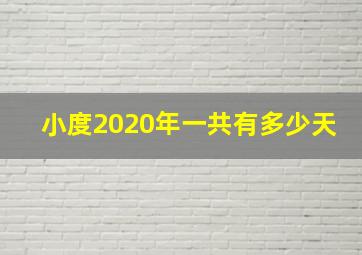 小度2020年一共有多少天