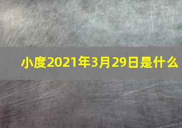 小度2021年3月29日是什么