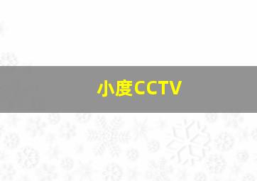 小度CCTV