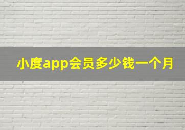 小度app会员多少钱一个月