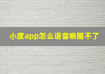 小度app怎么语音唤醒不了