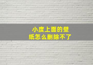 小度上面的壁纸怎么删除不了