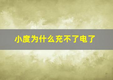 小度为什么充不了电了