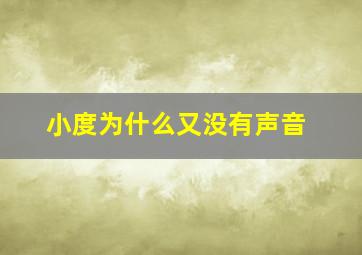 小度为什么又没有声音