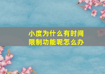 小度为什么有时间限制功能呢怎么办