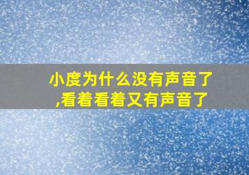 小度为什么没有声音了,看着看着又有声音了