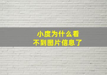 小度为什么看不到图片信息了