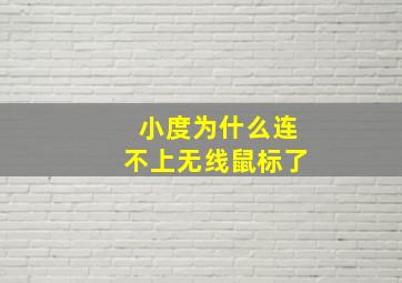 小度为什么连不上无线鼠标了