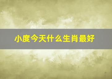 小度今天什么生肖最好