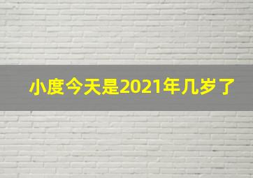 小度今天是2021年几岁了