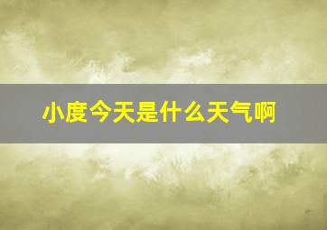 小度今天是什么天气啊