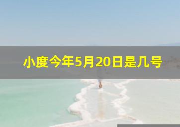 小度今年5月20日是几号