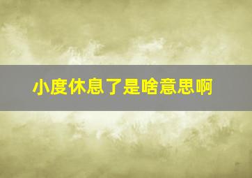 小度休息了是啥意思啊