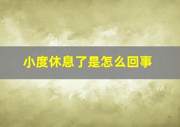 小度休息了是怎么回事