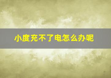 小度充不了电怎么办呢