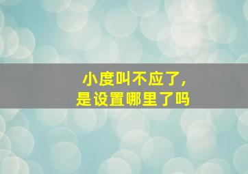 小度叫不应了,是设置哪里了吗