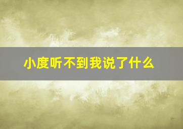 小度听不到我说了什么