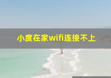 小度在家wifi连接不上