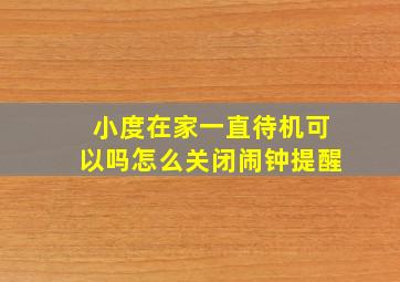 小度在家一直待机可以吗怎么关闭闹钟提醒