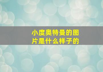 小度奥特曼的图片是什么样子的