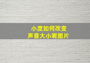 小度如何改变声音大小呢图片