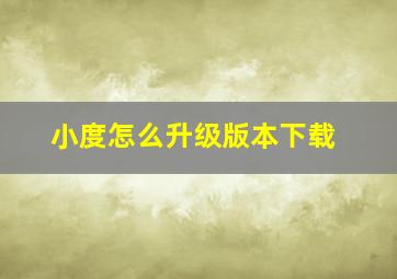 小度怎么升级版本下载