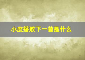 小度播放下一首是什么