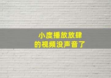 小度播放放肆的视频没声音了