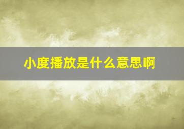 小度播放是什么意思啊